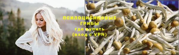 mix Новодвинск