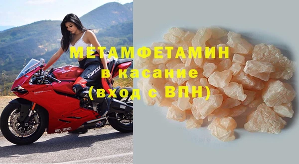крисы Новозыбков