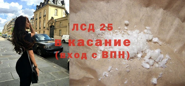 крисы Новозыбков