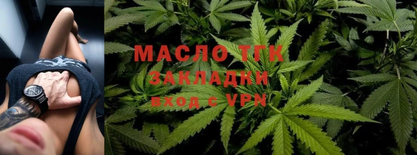 крисы Новозыбков