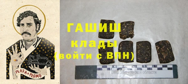 крисы Новозыбков