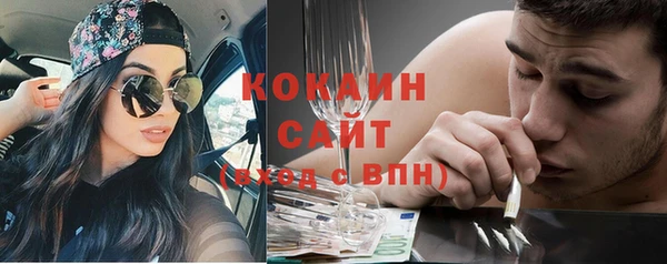 крисы Новозыбков