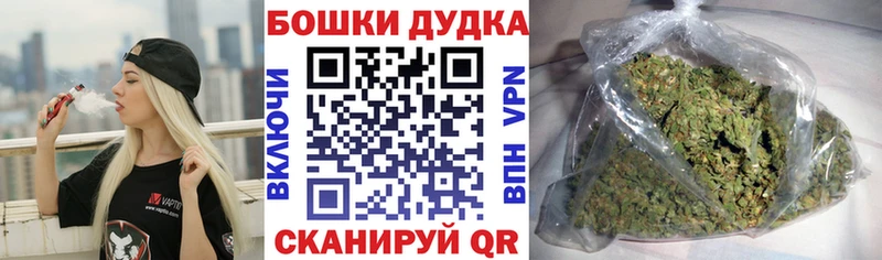 Каннабис планчик  блэк спрут ТОР  Почеп  где можно купить наркотик 
